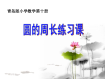 青岛版（五四制）数学五年级下册《信息窗二（圆的周长）》PPT课件