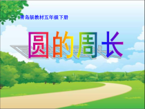 青岛版（五四制）数学五年级下册《信息窗二（圆的周长）》PPT课件3