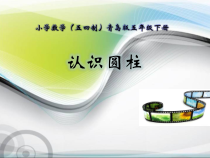 青岛版（五四制）数学五年级下册《信息窗一（圆柱和圆锥的认识）》PPT课件