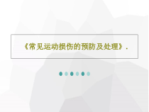 《常见运动损伤的预防及处理》.22张幻灯片