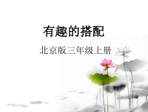 北京版数学三年级上册《合理搭配》PPT课件1