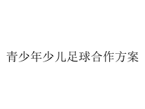 青少年少儿足球合作方案