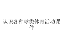 认识各种球类体育活动课件