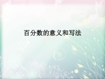 北京版数学六年级上册《百分数的意义》PPT课件3