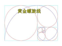北京版数学六年级上册《黄金螺旋线》PPT课件2