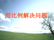 北京版数学六年级下册《用比例解决问题》PPT课件4