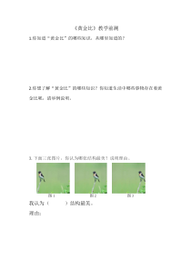 北京版数学六年级下册《黄金比》课后习题