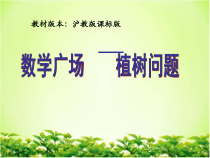 沪教版数学（五四制）三年级上册《数学广场——植树问题》PPT课件3