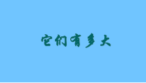 沪教版数学（五四制）三年级上册《它们有多大》PPT课件3