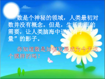 沪教版数学（五四制）三年级下册《从算筹到计算器》PPT课件4