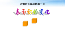 沪教版数学（五四制）五年级下册《表面积的变化》PPT课件3