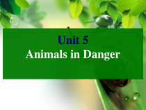 剑桥英语（Join in）六年级上册《Unit 5 Animals in danger》PPT课件(共14页)