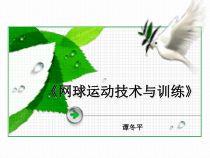 网球专项技术训练与指导说课稿课件
