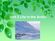 剑桥英语（Join in）五年级下册《Unit 2 Life in the Arctic》PPT课件2 (共18页)