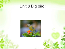 北师大版（一起）三下《Unit 8 Big bird 》PPT课件(共17页)
