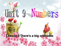 北师大版（三起）英语三下《Unit 9 Lesson 1 How many birds are there》PPT课件(共19页)