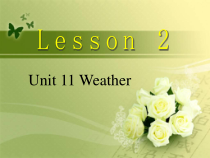 北师大版（三起）英语五下《Unit 11 Weather Lesson 2 2》PPT课件(共17页)