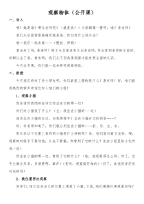 西南师大版数学二年级上册《四 观察物体》教案2