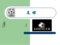 足球基础知识教学课件-PPT