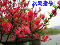 西南师大版数学二年级下册《除法的竖式写法》PPT课件3