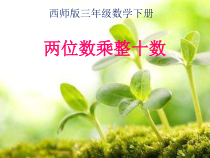 西南师大版数学三年级下册《两位数乘整十数》PPT课件2