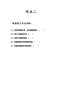 西南师大版数学四年级上册《八 不确定现象》学习单