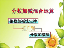 西南师大版数学五年级下册《分数加减混合运算》PPT课件3