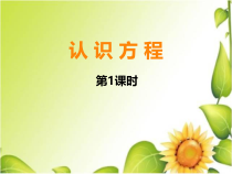 西南师大版数学五年级下册《认识方程》PPT课件2