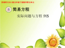 西南师大版数学五年级下册《问题解决》PPT课件3