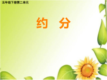 西南师大版数学五年级下册《约分》PPT课件1