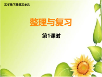 西南师大版数学五年级下册《整理与复习》PPT课件4