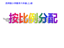 西南师大版数学六年级上册《问题解决》PPT课件2