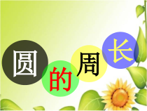 西南师大版数学六年级上册《圆的周长》PPT课件1