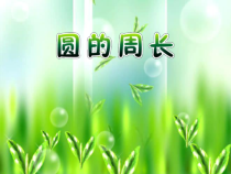 西南师大版数学六年级上册《圆的周长》PPT课件3