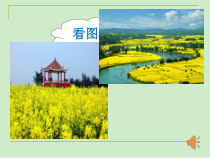 西南师大版数学六年级下册《百分数的意义》PPT课件1