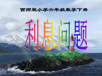 西南师大版数学六年级下册《税（利）率的问题解决》PPT课件1