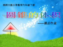 西南师大版数学六年级下册《圆锥》PPT课件1