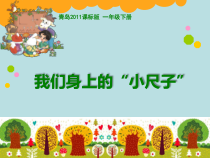 青岛版（六三制）一年级数学下册《我们身上的小尺子》PPT课件2