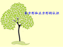 青岛版（六三制）二年级数学下册《信息窗一（长方形、正方形的特征；五边形六边形的认识）》PPT课件10
