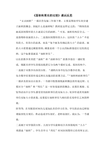 青岛版（六三制）三年级数学下册《信息窗三（周长和面积的比较）》教学反思