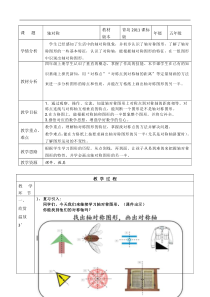 青岛版（六三制）五年级数学上册《信息窗一（认识轴对称图形）》教学设计1