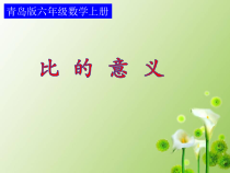 青岛版（六三制）六年级数学上册《信息窗一（比的认识）》PPT课件2