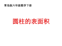 青岛版（六三制）六年级数学下册《信息窗二（圆柱的表面积）》PPT课件5