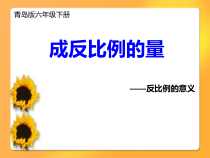 青岛版（六三制）六年级数学下册《信息窗三（反比例）》PPT课件1