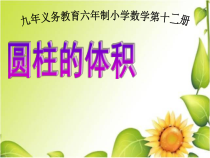 青岛版（六三制）六年级数学下册《信息窗三（圆柱的体积）》PPT课件7