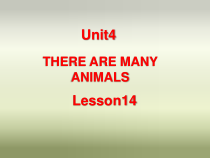 北京版英语二年级上册《Unit 4 There are many animals Lesson 14》公开课PPT课件2(1)