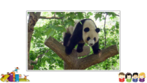 北京版英语二年级上册《Unit 4 There are many animals Lesson 13》PPT课件1(1)