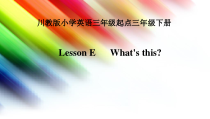 川教版英语三年级下册《Lesson E What’s This？》PPT课件3