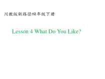 川教版英语四年级下册《Lesson 4 What Do You Like？》优质PPT课件1