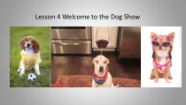 川教版英语四年级下册《Lesson 4 Welcome to the Dog Show!》PPT课件3
